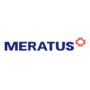 Meratus Line New Thumbnail