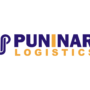 Puninar New Thumbnail