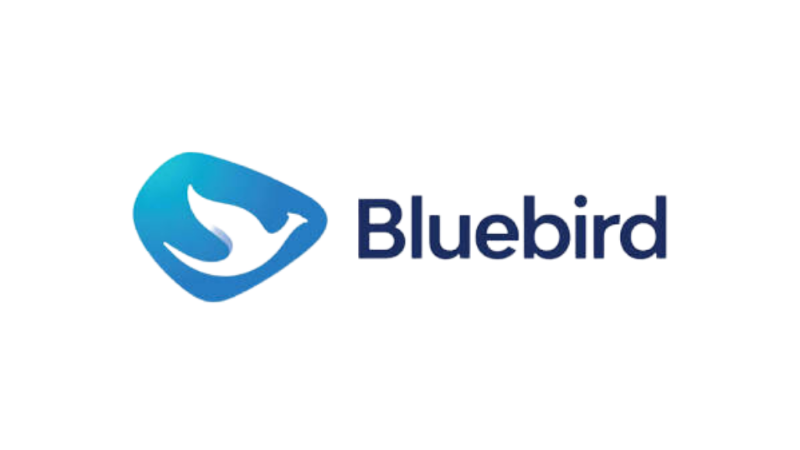 Blue Bird New Thumbnail